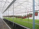 De geprefabriceerde Lichte Landbouw Plantaardige Serre Q235 ISO9001 van de Staalstructuur