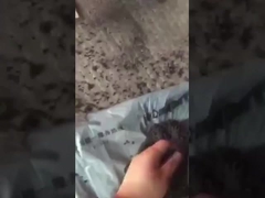 Werkvideo van de granulatie van balmest