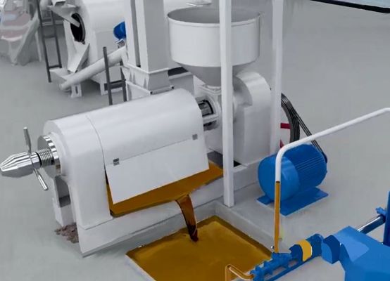 XDEM Palmkern Shell Peeling Crushing Oil Press Machine Automatisch Palmnoot Kraken En Scheidingssysteem
