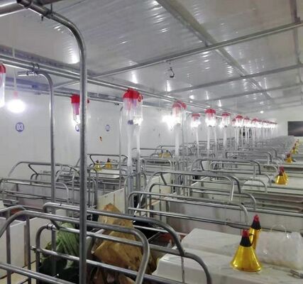 Corrosiebestendige, gepoedercoate veehouderijapparatuur met afgeronde randen voor veilig landbouwgereedschap