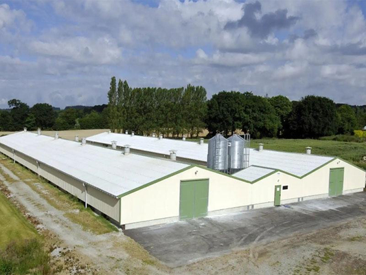 XDEM-van de het Pakhuisproductie van de Staalstructuur de Workshopkip en Gevogeltelandbouwbedrijf