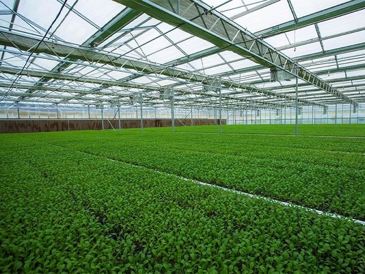 De geprefabriceerde Lichte Landbouw Plantaardige Serre Q235 ISO9001 van de Staalstructuur
