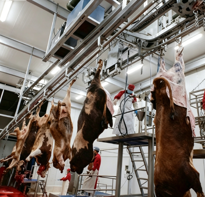 Slachtapparatuur van roestvrij staal met PLC-besturing en GB-standaard voor efficiënte vleesverwerking